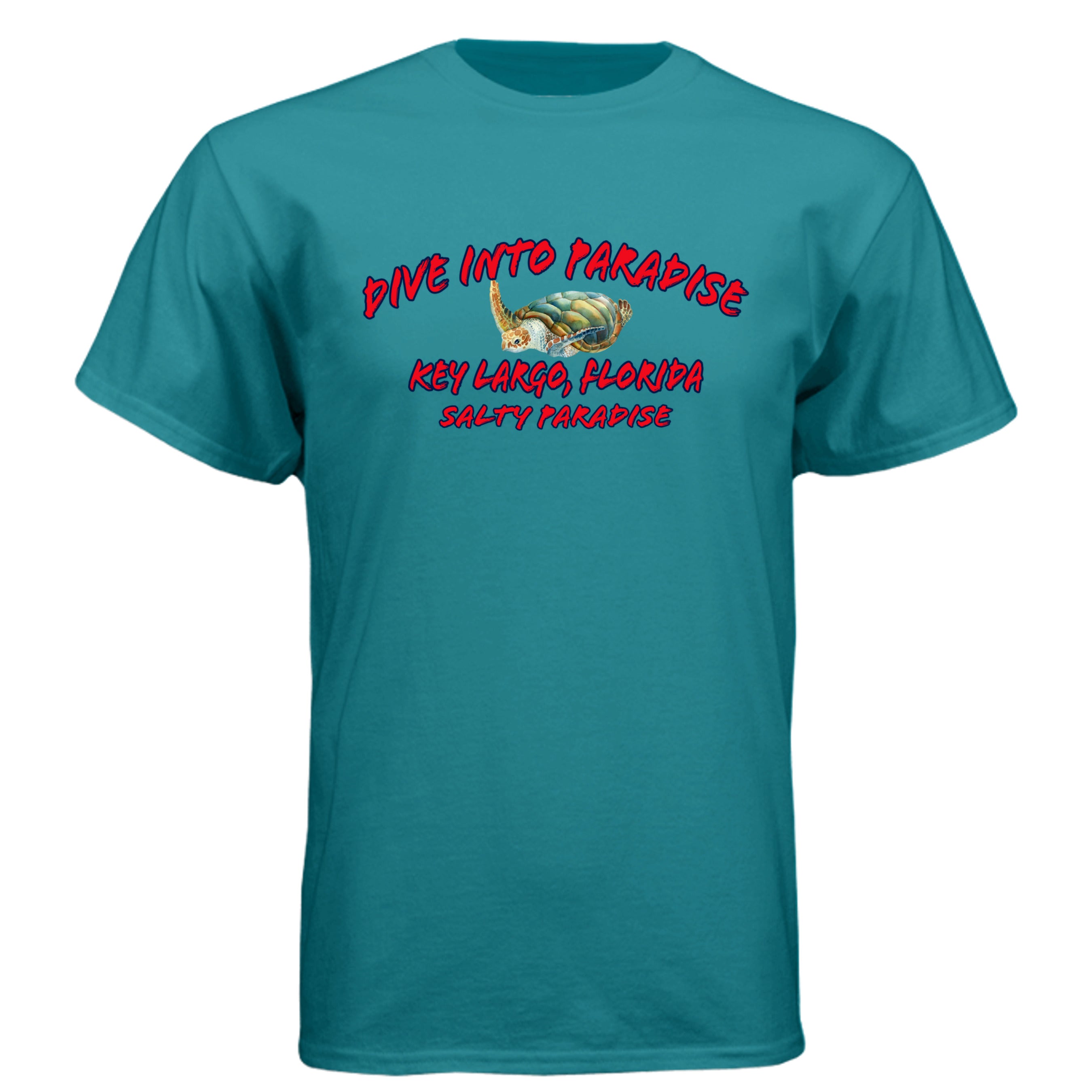 Teal - N6210 - FRONT