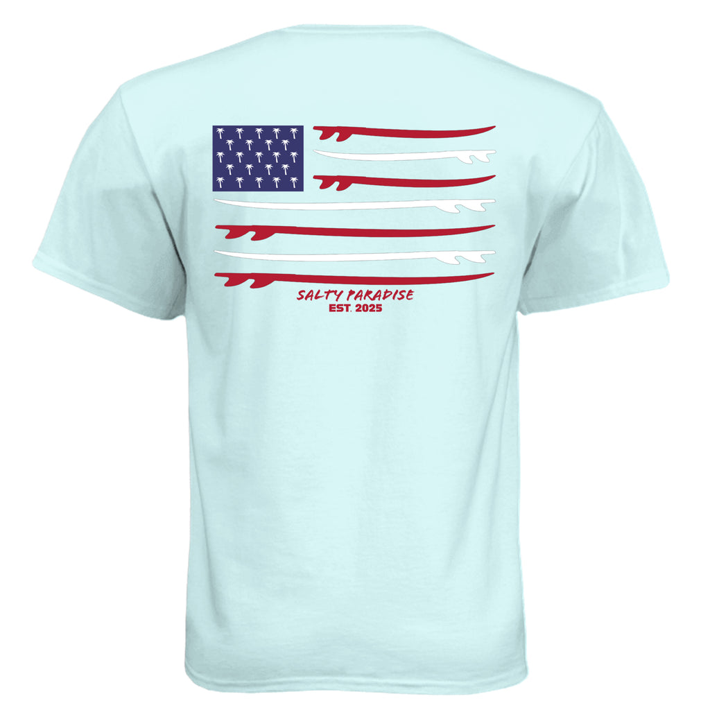 Ice Blue - N6210 - BACK