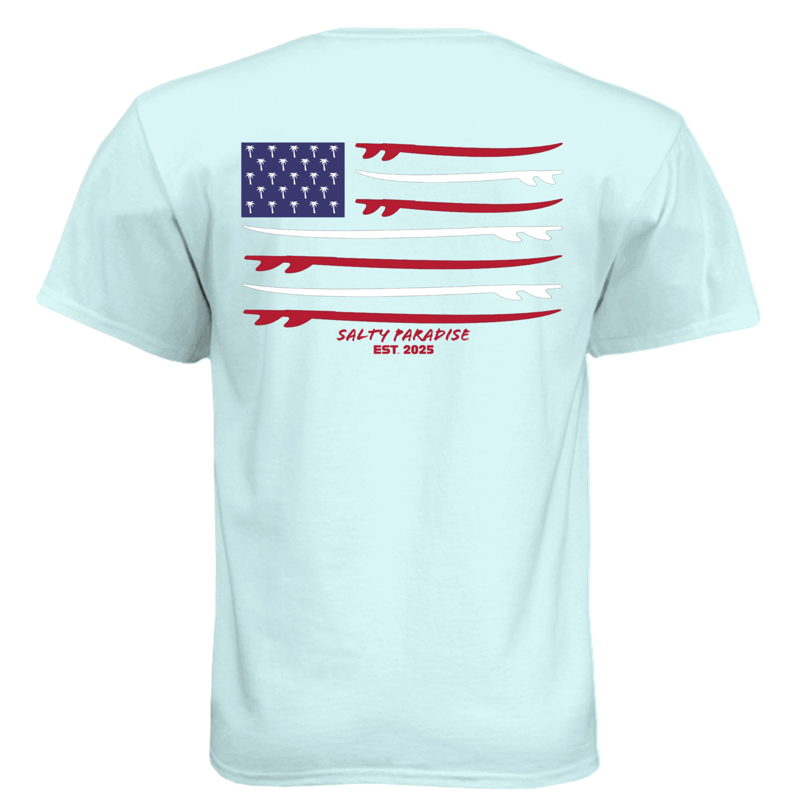 Ice Blue - N6210 - BACK