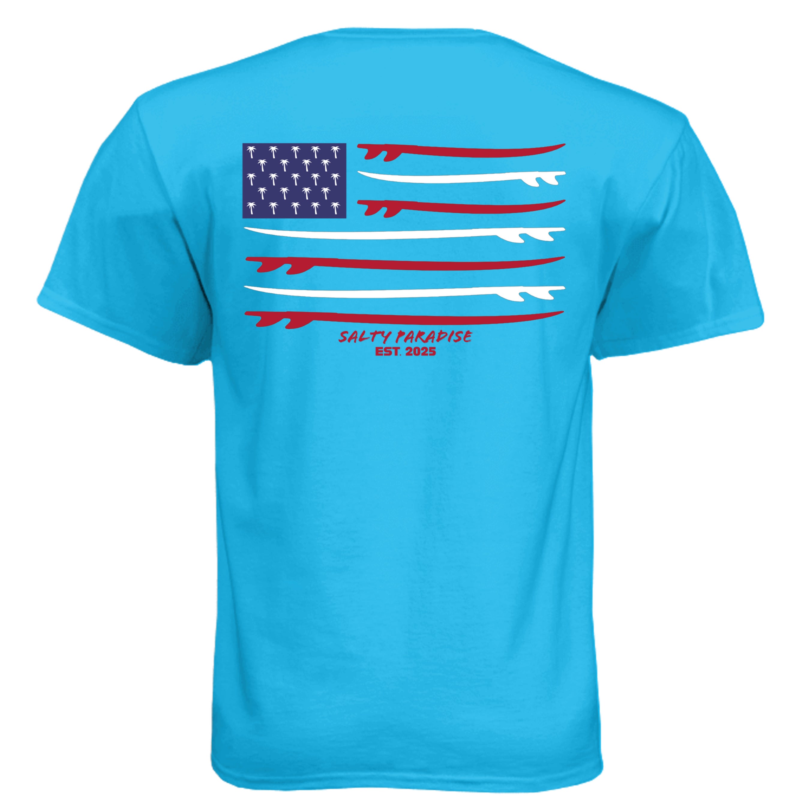 Turquoise - N6210 - BACK